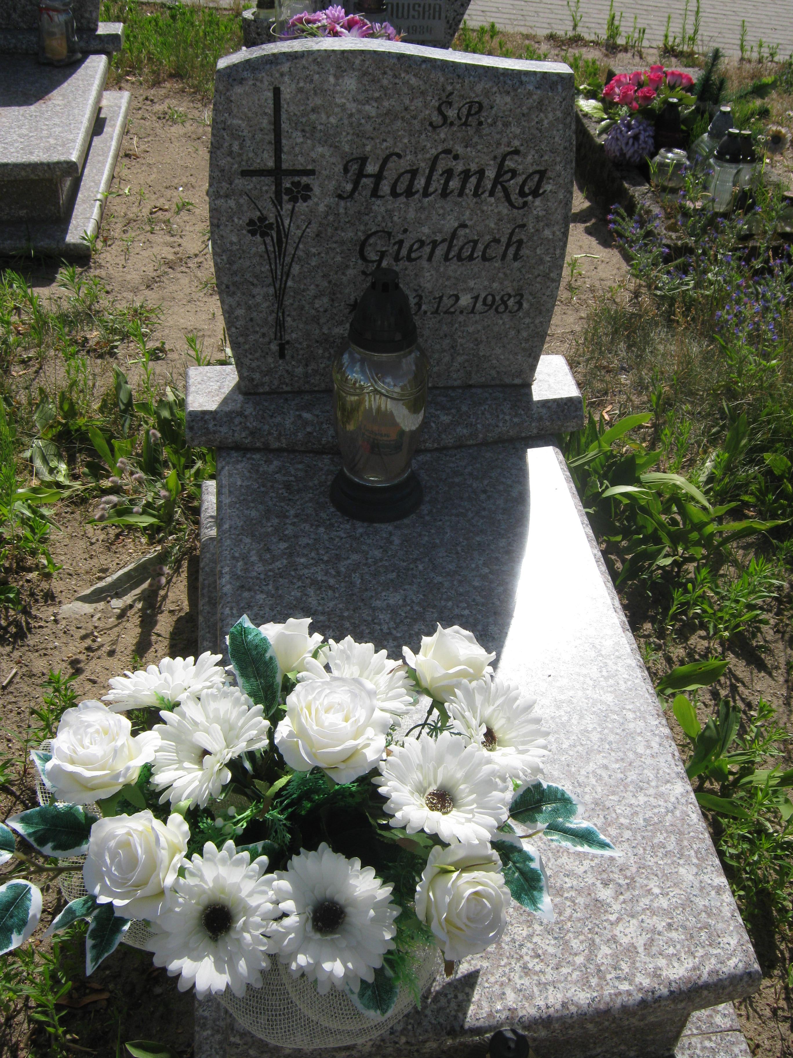 Halina Gierlach 1983 Bytów - Grobonet - Wyszukiwarka osób pochowanych