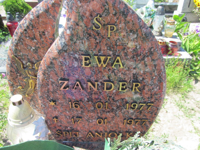 Ewa Zander 1977 Bytów - Grobonet - Wyszukiwarka osób pochowanych