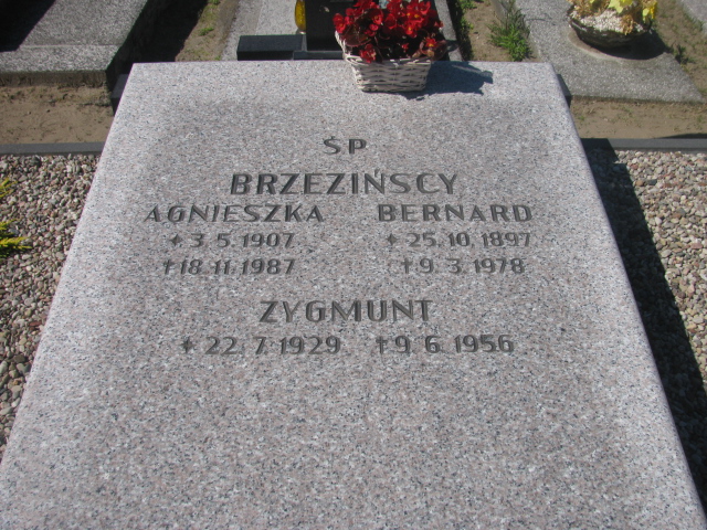 Zygmunt Brzeziński 1929 Bytów - Grobonet - Wyszukiwarka osób pochowanych